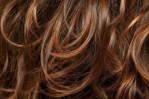 Shampoo 2 en 1